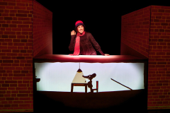 RATO-PEREZ_sombras-xero